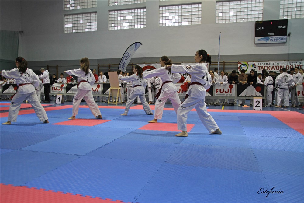 Copa Seul 2018 (310).jpg